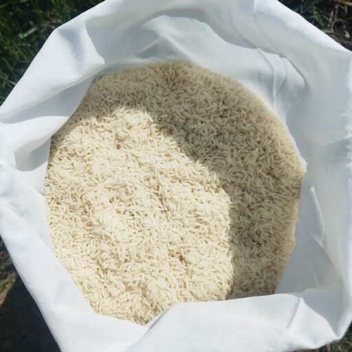 خرید و فروش برنج هاشمی معطر با شرایط فوق العاده
